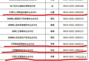 无锡到沂源的汽车票价解析与建议