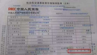 汽车出险费用详解，如何计算一年的保险成本？