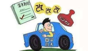 汽车年检后需要支付的费用是多少？