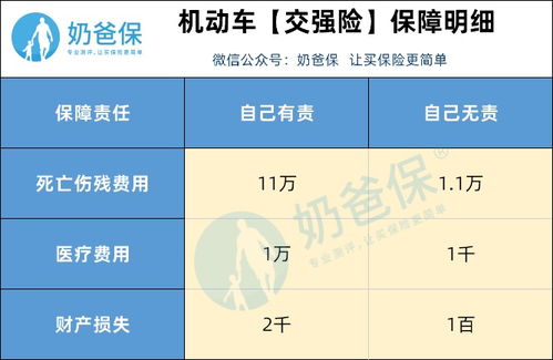 汽车保险费用与选择的平衡点