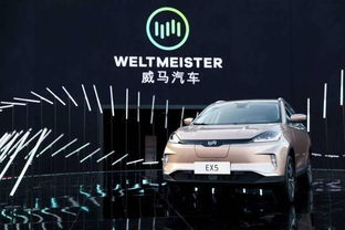 华为在电动汽车领域的创新与突破，打造高效、可靠的充电解决方案
