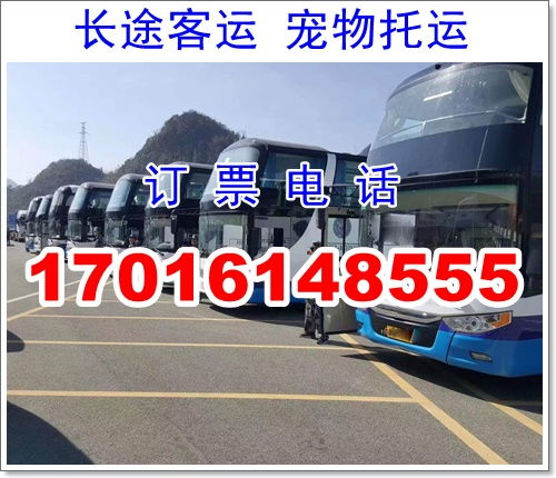 汉中至浙江汽车票价格详解 汉中至浙江汽车票价格详解