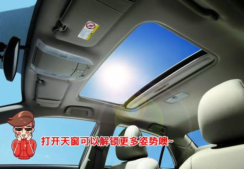 汽车天窗的面积与空间设计的重要性