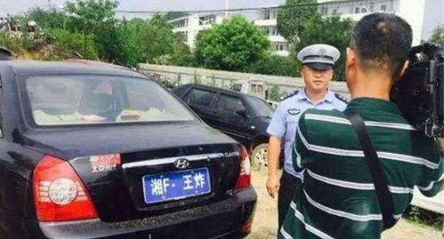 上海汽车上路罚款的种类