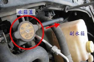 汽车水箱更换费用解析