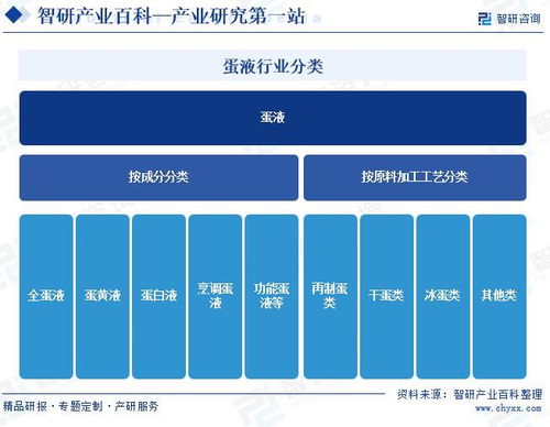 市场概况与分类