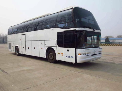 55 座汽车能坐多少人