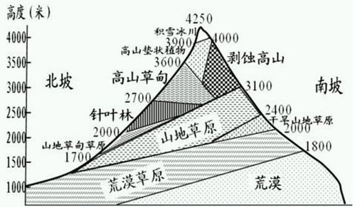 地区因素