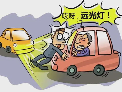 行车安全与违章罚款解析