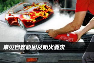 汽车防撞条的作用与类型