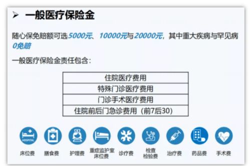 汽车密码找回费用详解，了解你的保险责任与服务选项
