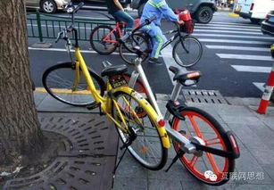 共享单车(Mobike、ofo等) 共享单车(Mobike、ofo等)