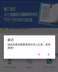 汽车电话，可更改还是无法改变？