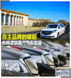 国产汽车的发展与现状