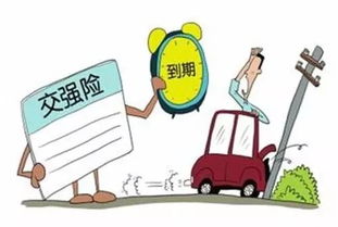 溧阳汽车强制保险多少钱？了解你的责任与保障
