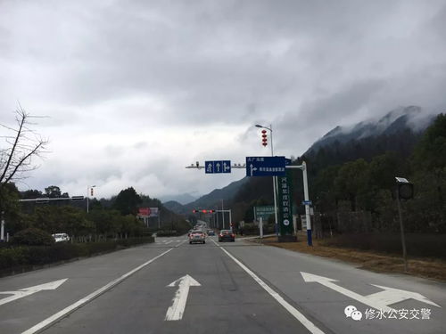 修水县汽车牌照数量