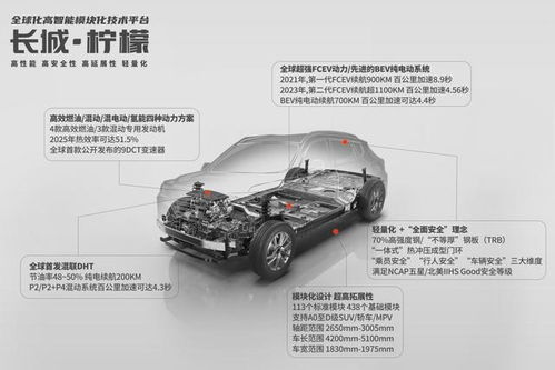 印度版长城汽车，中国车企的全球扩张之路
