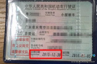 湛江往返东莞汽车票价格详解