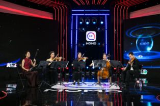 金色阳光下的音乐盛宴，探索金发女孩与汽车音响的完美结合