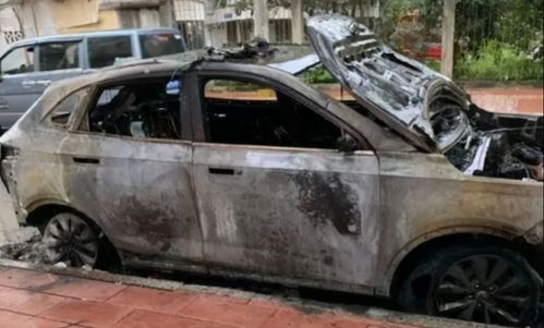 威马汽车自燃事件调查与反思