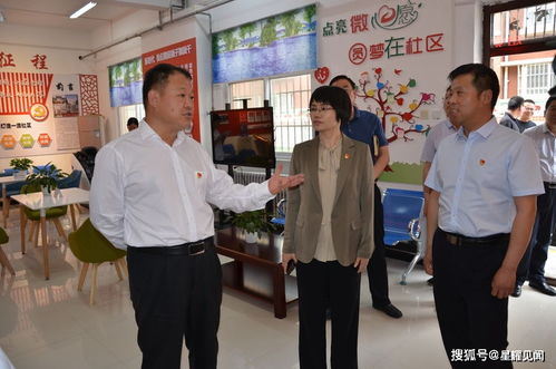 舞钢市现有汽车数量调查报告