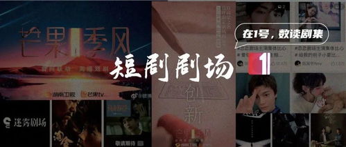 小汽车与房子的距离有多远？