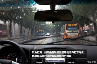 从外面看汽车的高度
