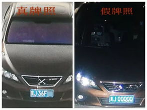 沧州的车牌尾号政策，探索与解读