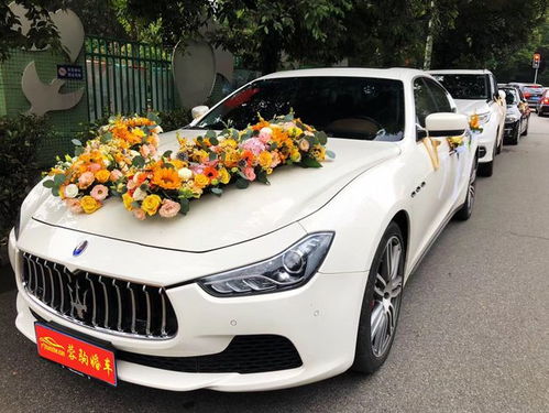 舟山团建活动的汽车租赁费用详解