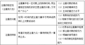 汽车加注氟利昂的费用解析与注意事项