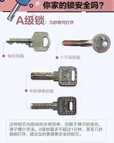 云南定制汽车防盗锁价格解析