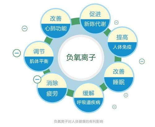 汽车尾气筒的温度与健康关系探讨