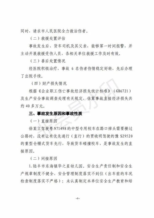 武城县汽车保有量调查报告