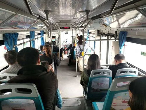东莞市汽车总站，交通与文化的交汇点