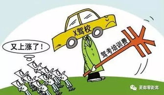 浙江汽车驾校培训费用解析，性价比与选择的平衡