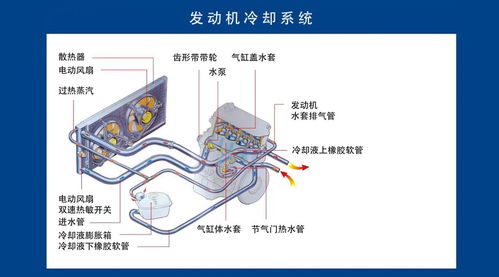 汽车水循环系统故障的维修费用 汽车水循环系统故障的维修费用