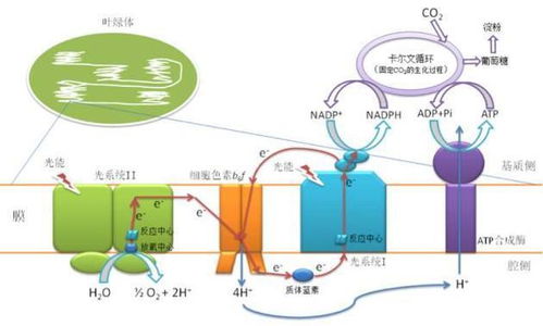 汽车起动机的使用频率与寿命关系分析
