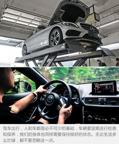 汽车速度与安全驾驶