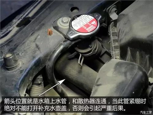 改装汽车冷却液的价格分析与选择指南
