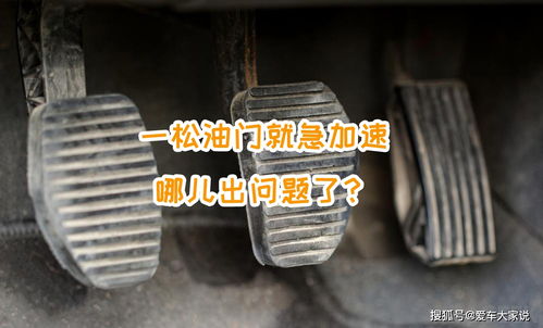 油门盖的基本介绍与常见问题