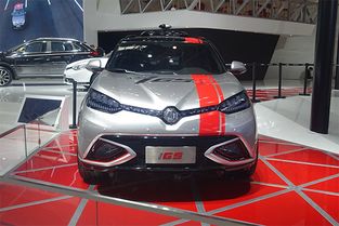 车辆类型与驾驶速度