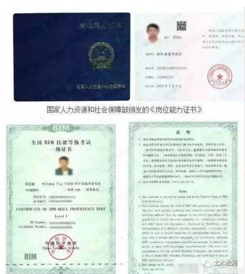 考取汽车评估师证的费用分析与选择