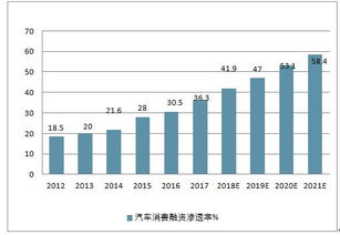 芝麻排汽车的价格分析与趋势预测