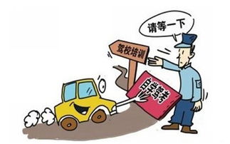 何时开始学习驾驶？探讨合适的年龄