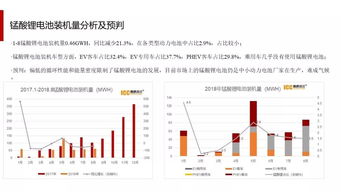 全新汽车的动力与价格，市场现状与未来发展