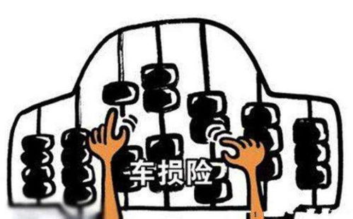车辆损失险（车损险）