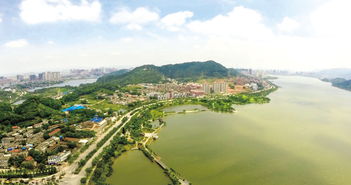 芙蓉湖畔的美丽城市，眉山的今日限行规定