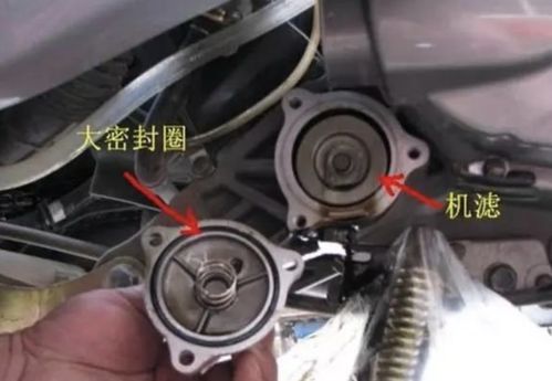 摩托车更换机油费用分析与建议
