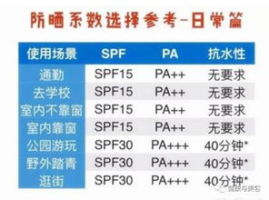 汽车喷漆价格详解，从基础知识到实际操作