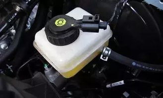 汽车空气过滤器的重要性及其对空气质量的影响